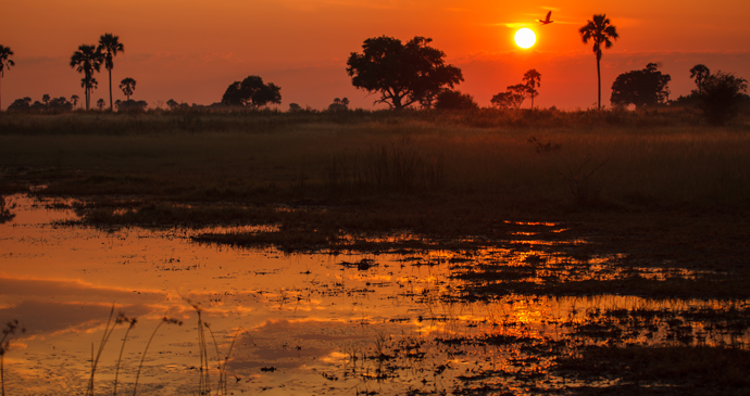 Sunrise over the marshlands of the Okavango Delta in Botswana by Pete Niesen Shutterstock