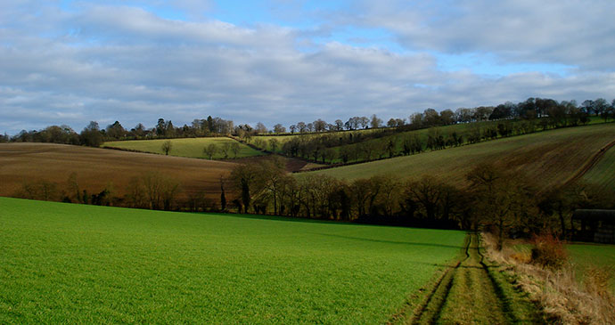 Chilterns Area of Outstanding Natural Beauty Buckhinghamshire Christian Guthier, Wikimedia Commons