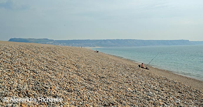 Chesil Beach Dorset British Isles by Alexandra Richards