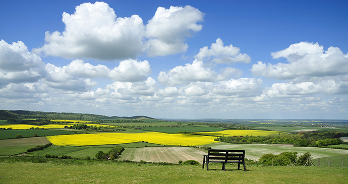 Dunstable Downs The Chilterns by Alina Wegher Shutterstock