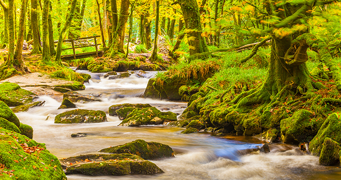 River Fowey Bodmin Moor Cornwall Enland UK by Mike Charles Shutterstock