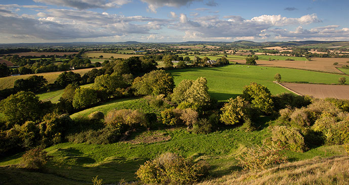 The Blackmore Vale, Dorset, England, British Isles © David Crosbie, Shutterstock