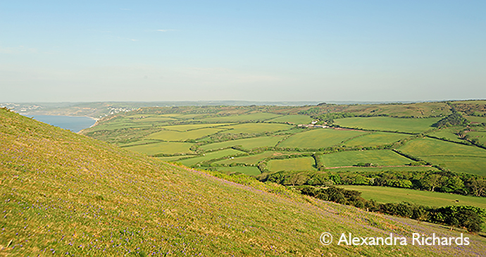 West Dorset countryside, Dorset, England, British Isles © Alexandra Richards