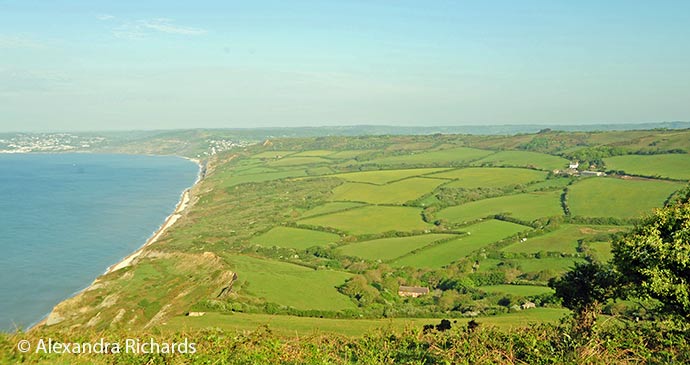 golden cap, Dorset, England, British Isles © Alex Richards 