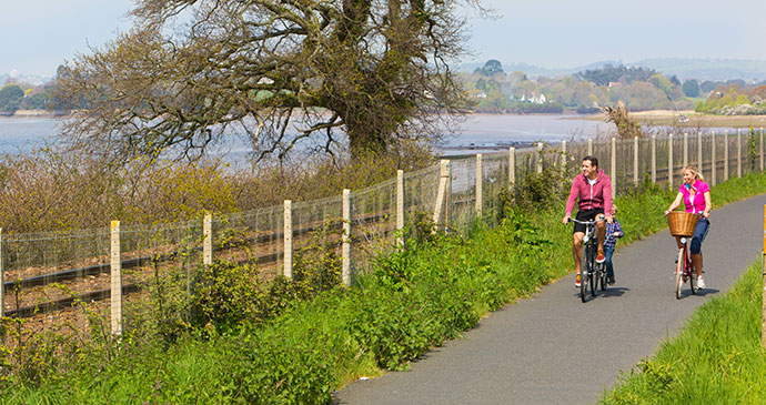 Exe Estuary Trail East Devon UK by Tony Cobley Heart of Devon Images