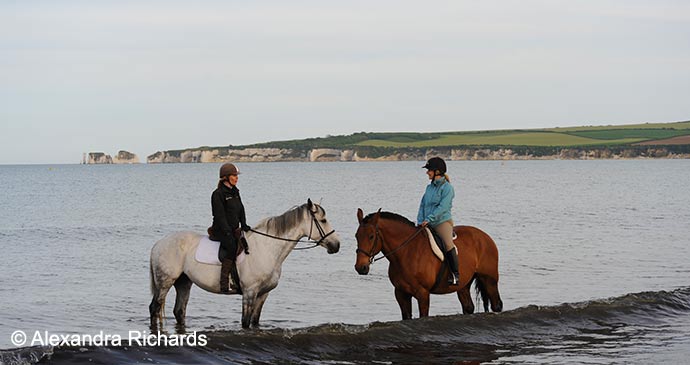 Studland Dorset British Isles by Alexandra Richards