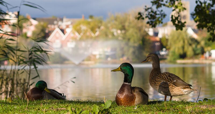 Diss Mere, Diss, Norfolk by Duncan Kerridge Photography 