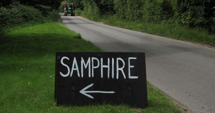 Samphire, Norfolk by Laurence Mitchell 