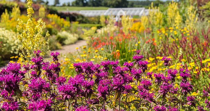 Helmsley Walled Garden North York Moors North Yorkshire