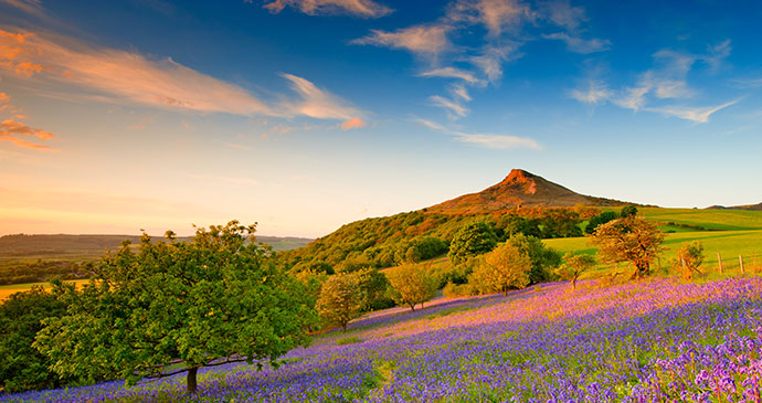 Roseberry Topping, North Yorkshire by Colin Carter, NYMNPA