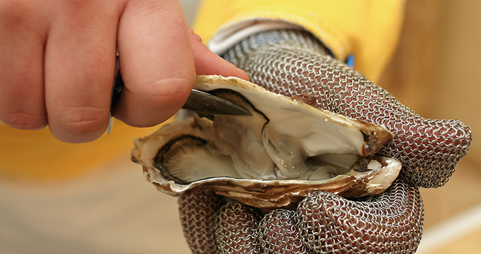 Lindisfarne oyter food and drink northumberland 