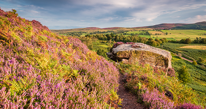 Cheviot Hills, Northumberland, UK by Dave Head, Shutterstock