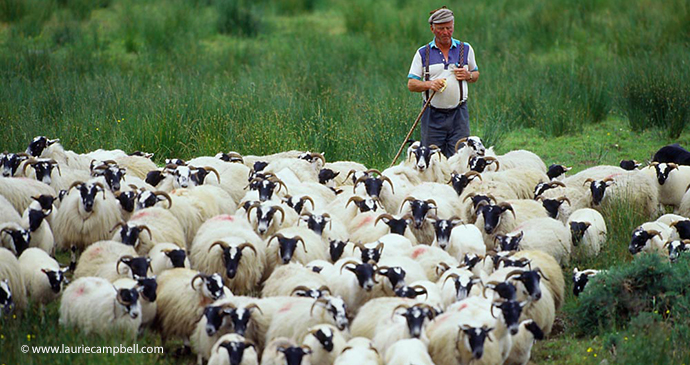 Shepherd Outer Hebrides Scotland by Laurie Campbell Photography www.lauriecampbell.com