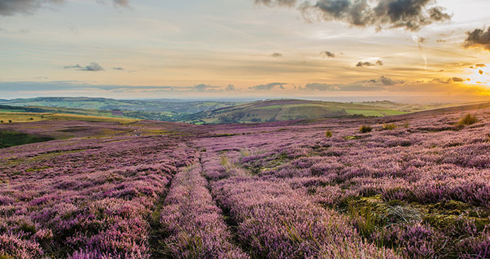 Hathersage Moor Peak District National Park by Paul Daniels Shutterstock