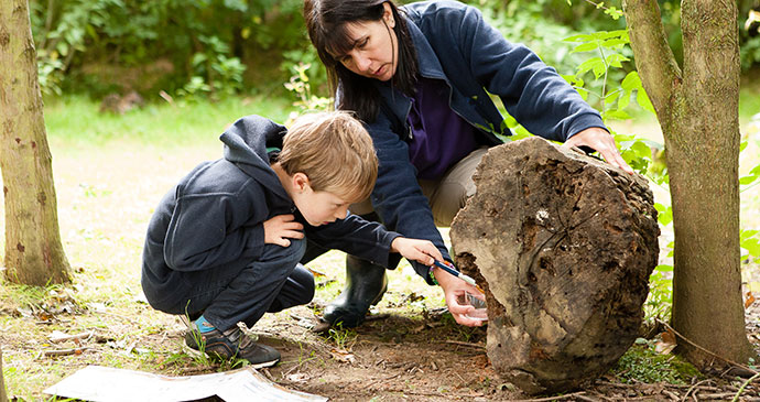 Bug hunting at the Shropshire Hills Discovery Centre © Shropshire Hills Discovery Centre