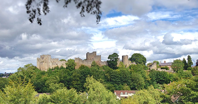 Ludlow Castle Shropshire Hugh Collins