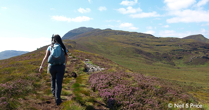 Meall Fuar-mhonaidh, Highlands, Small Hills by Neil S Price