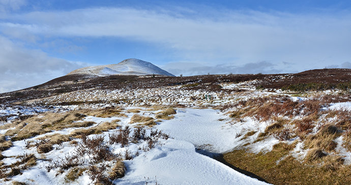 Falkland Hill, Fife, Small Hills by Sasalan999, Dreamstime best hillwalks Britain