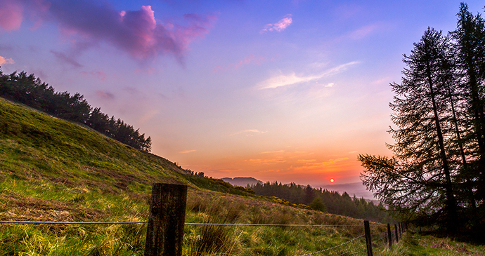 Falkland Hill, Small Hills by Niall Hedderman, Shutterstock