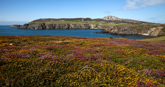 Holyhead, small hills by Gail Johnson, Shutterstock