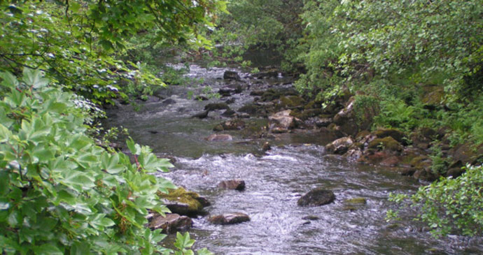 River Tavy, South Devon by Rob Purvis, Wikimedia Commons best wild swimming spots