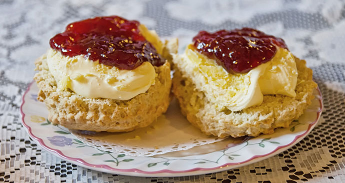 Devon cream tea, South Devon by Unique Devon Tours