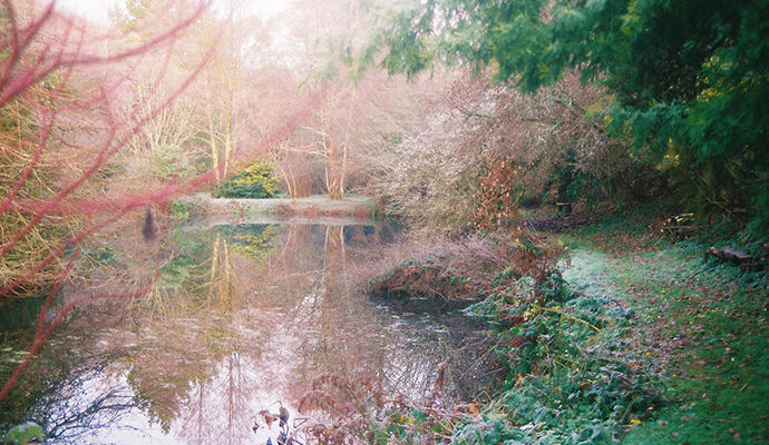 Fast Rabbit Farm Gardens South Devon by Fast Rabbit Farm Gardens