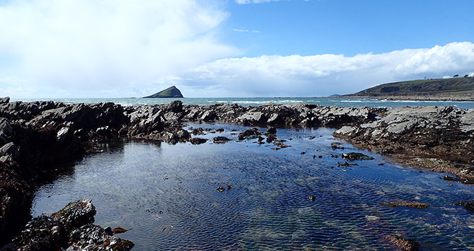 Rock pools in Wembury, Plymouth, South Devon by Devon Wildlife Trust