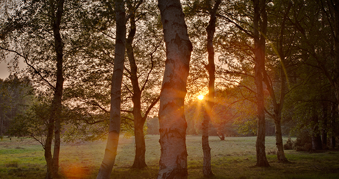 Sunrise in Suffolk by Rod Edwards, Visit Britain