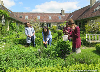 Natural dye workshop Uk Wild Times Babs Behan Botanical Inks