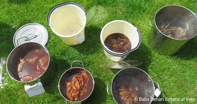 Dyeing silk by Babs Behan Botanical Inks