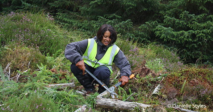 Coppicing Scotland mindfulness Jini Reddy