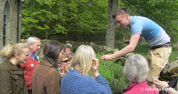 Bumblebee safari UK by Rebecca Barrett