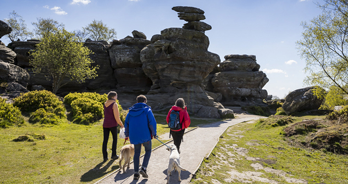 Brimham Rocks Nidderdale Yorkshire Dales by National Trust Images Chris Lacey
