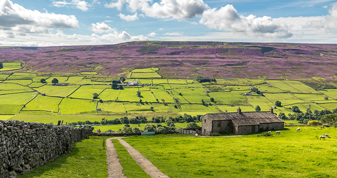 Swaledale Yorkshire Dales by Andrew Locking www.andrewswalks.co.uk
