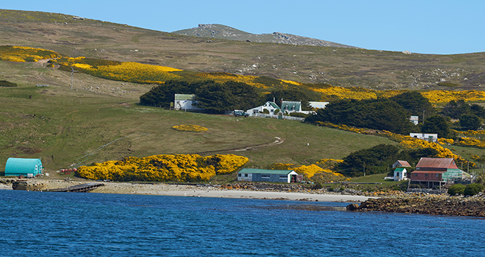 Settlement, West Point Island, Falkland Islands by JeremyRichards, Shutterstock