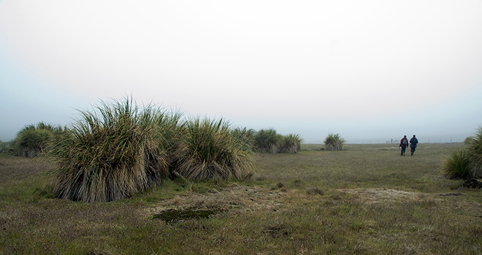 Hiking, Carcass Island, Falklands by demamiel62, Shutterstock