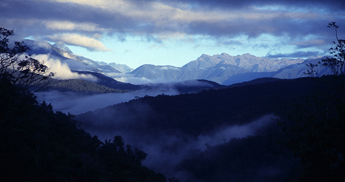 Madidi National Park Bolivia by Michael Kessler Wikimedia Commons