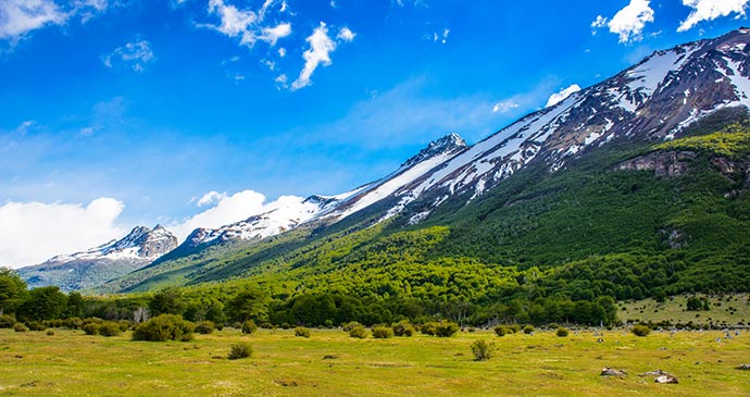 Tierra del Fuego National Park, Argentina by Anton Ivanov, Shutterstock