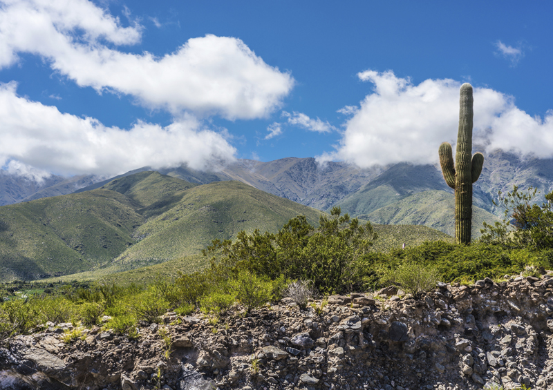 Ruta Provincial 307, Argentina by Anibel Trejo, Shutterstock