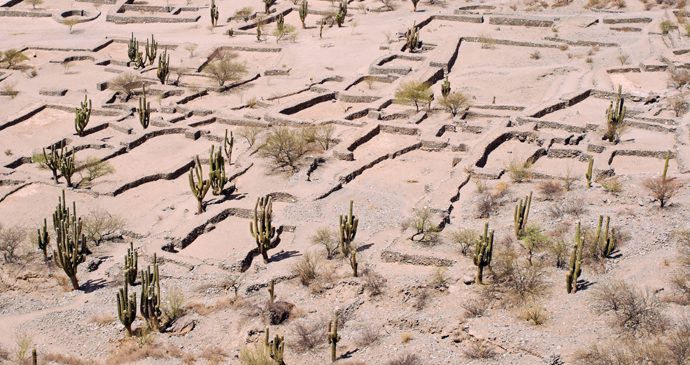 Quilmes ruins, Tafi de Valle, Argentina by Alfredo Cerra, Shutterstock