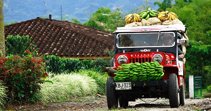 Coffee Colombia Proexport CBT