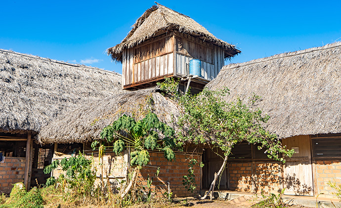 Caiman House Guyana by Gail Johnson, Shutterstock