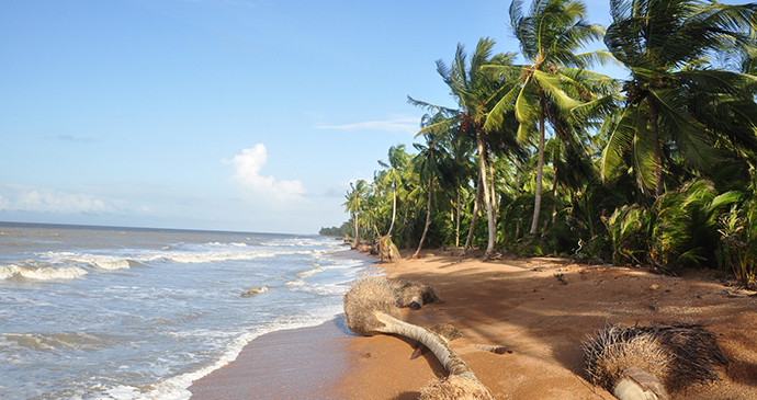 Shell Beach Guyana by Marco Farouk-Basir, Wikimedia Commons