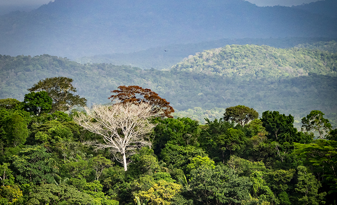 Surama Lodge guyana by Gail Johnson, Shutterstock