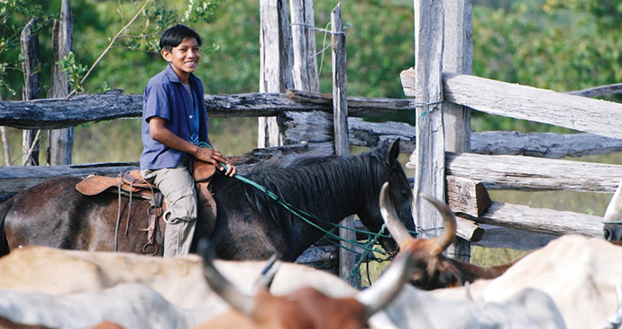 Dadanawa ranch Guyana by Wilderness Explorers