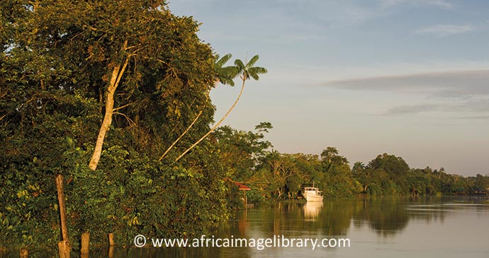 Saramacca River Suriname by Ariadne Van Zandbergen