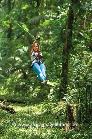 Ziplining Berg En Dal Suriname by Ariadne Van Zandbergen