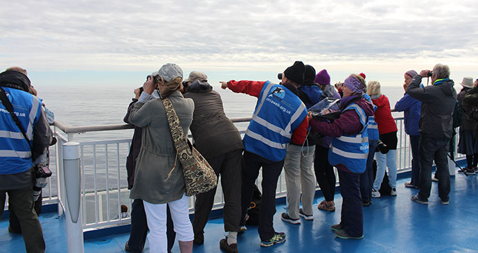 Whale watching, Bay of Biscay, 52 European Wildlife Weekends by ORCA