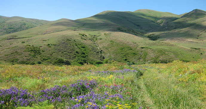 Hoghmik Armenia by Deirdre Holding